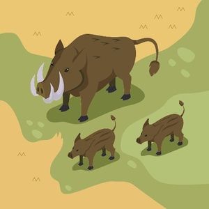 Meet your Posher, Hubert